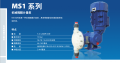 MS1系列機(jī)械隔膜計(jì)量泵